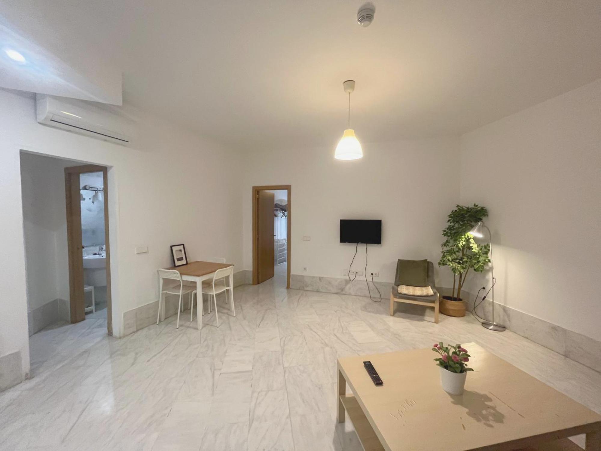 Center Confort 2 Appartement Séville